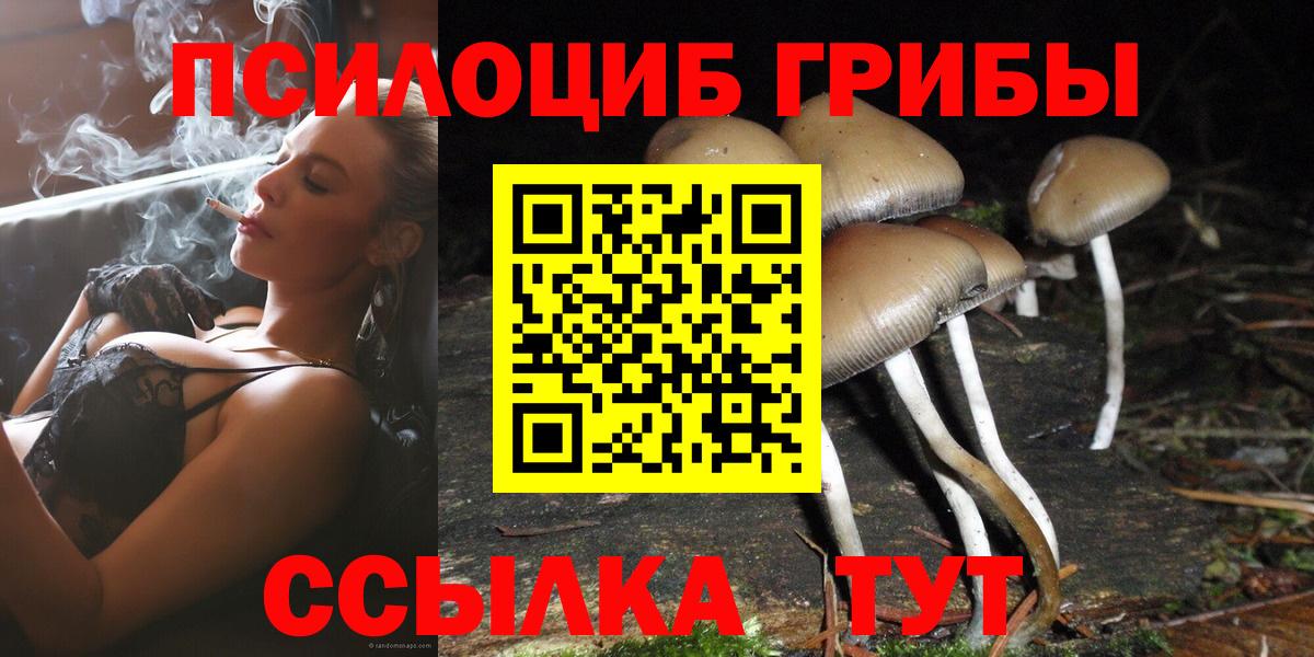 Псилоцибиновые грибы GOLDEN TEACHER Кирово-Чепецк