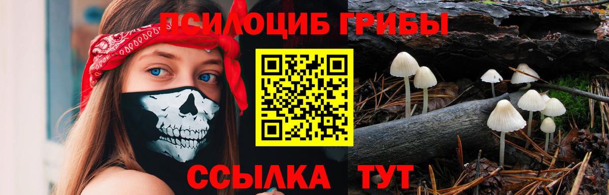Псилоцибиновые грибы Psilocybine cubensis  что такое   Кирово-Чепецк  Псилоцибиновые грибы ЛСД  Вход с VPN 